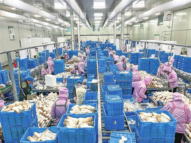 学习运用“千万工程”经验 推进陇原乡村全面振兴5.jpg