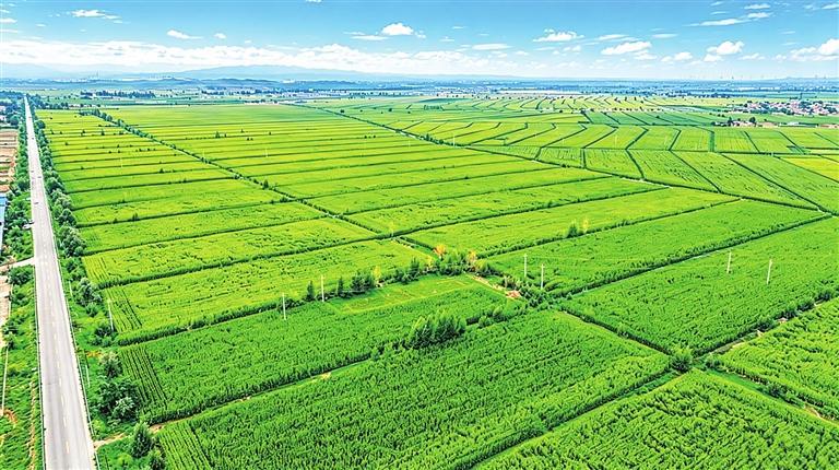 学习运用“千万工程”经验 推进陇原乡村全面振兴6.jpg