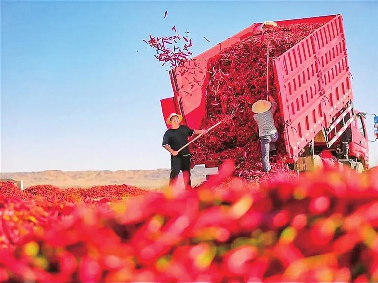 学习运用“千万工程”经验 推进陇原乡村全面振兴1.jpg