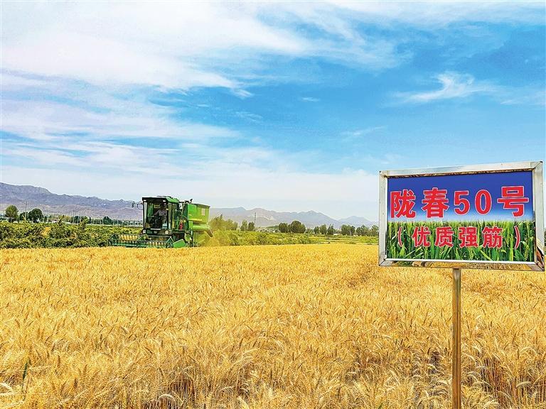 学习运用“千万工程”经验 推进陇原乡村全面振兴3.jpg