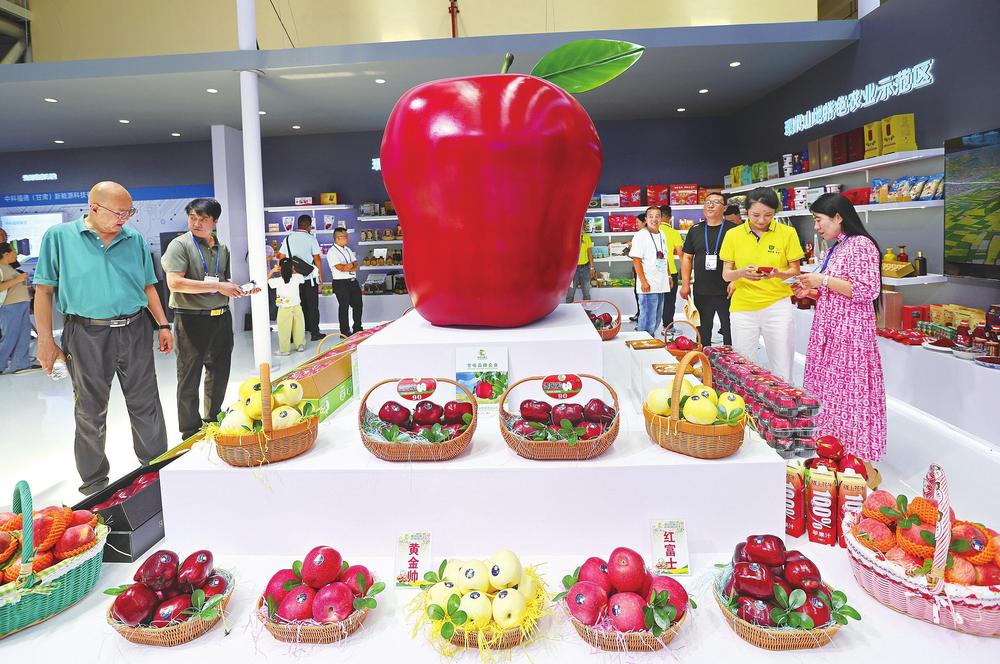 “投资甘肃”金字招牌愈发亮眼